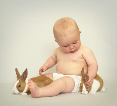 Baby Boy Playing With Dutch Rabbits