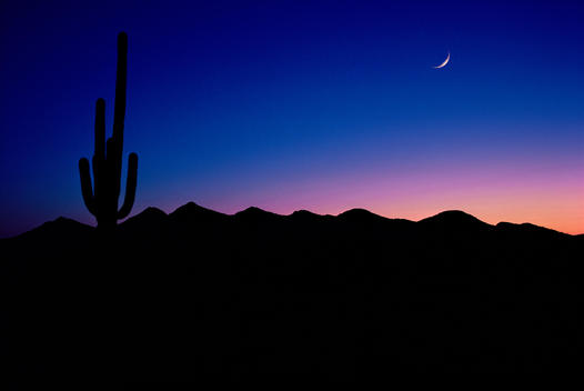 Silhouette Of Saguaro Cactus And Mountains With Twilight Sky And Cresent Moon.