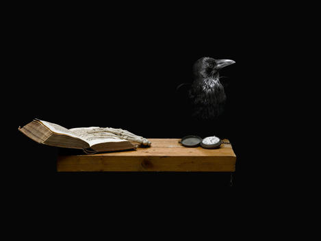 Still life with skeleton of a hand lying on a book and crow on black background.