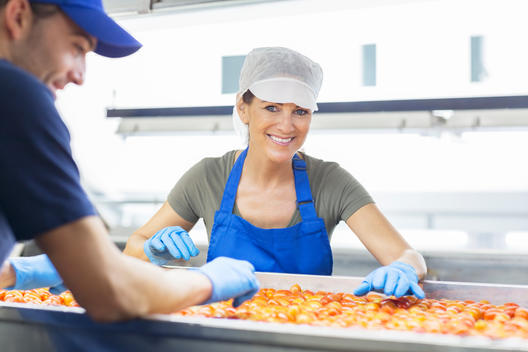 Portrait of confident worker examining tomatoes in food processing plant
