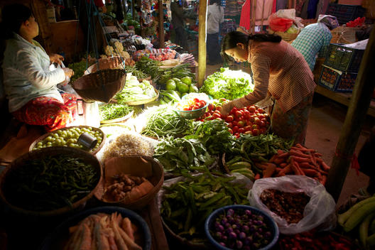 Vegetable seller at Bagan market