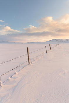 Wood poles with barbed wire in a snowy landscape