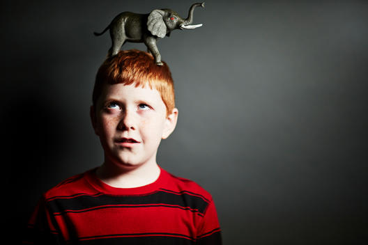 Boy with elephant toy on top of head