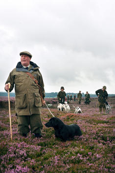 A hunter stands in the purple heather on the North Yorkshire Moors during a grouse shoot on the Glorious Twelfth in Hutton-le-Hole. The Glorious Twelfth is usually used to refer to August 12, the start of the shooting season for Red Grouse.