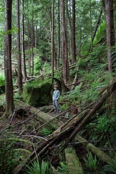 a portrait of a young boy standing in the woods