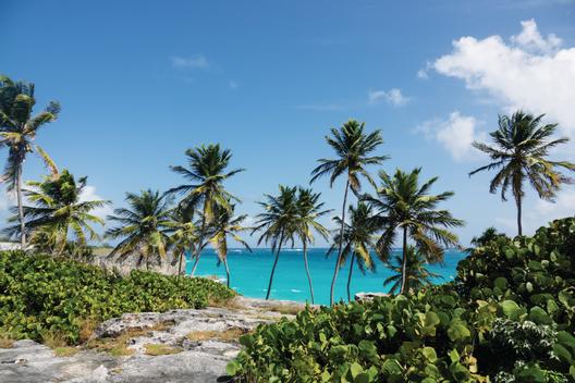 The clear blue sea, palms swaying in the breeze, large rock formations, fun in the sun is what you will find when visiting the island of the Barbados.
