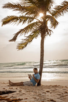 man sitting against palm tree on tablet
