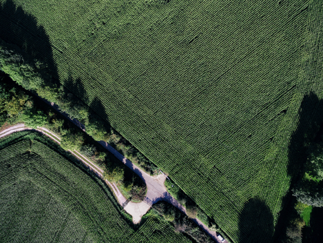 A birds eye view of a farm in Surrey, England. Crops are grown here in fields that are hundreds of acres. A road linking to the main road cuts through between 2 fields.