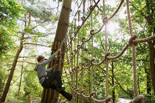 Outdoor sports and adventure tree climbing