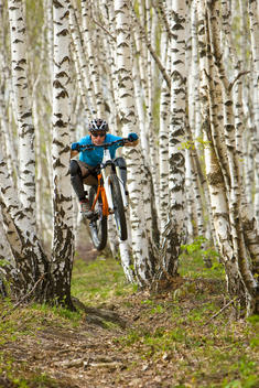 Italy, Lake Como, Mountain biker riding in the woods