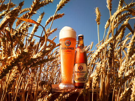 wheat beer in cornfield