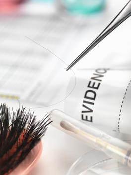 Hair sample collected from crime scene for genetic testing in laboratory