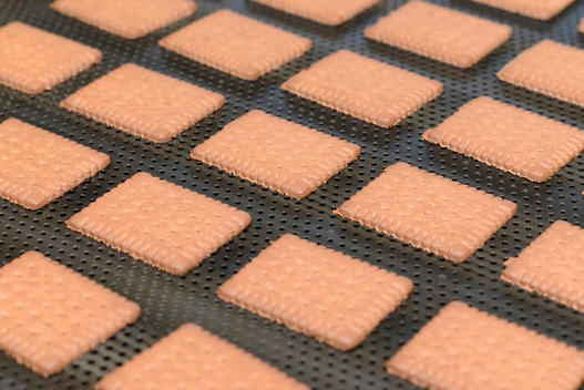 Germany, Saxony-Anhalt, rows of cocoa cookies on production line in a baking factory, close-up