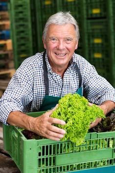 Senior man leaning on crate holding lettuce looking at camera smiling