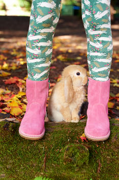 little bunny between feet of a girl close up