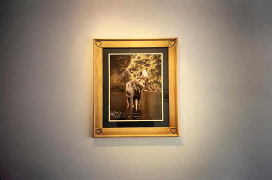 Framed Picture Of Moose