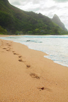 Footprints in beach sand, Kaua'i, Hawaii, USA