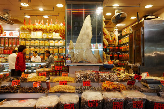Chinese dried food store with huge shark fin, Hong Kong, China
