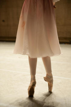 A ballerina wearing a rose colored dress, tights, and ballet shoes, is standing on her pointed toes.