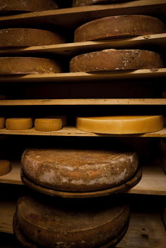 Round Cheese In Cheese Cellar