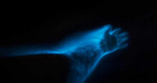 A hand in the water lit by the faint blue glow of bioluminescence in a Florida lagoon.