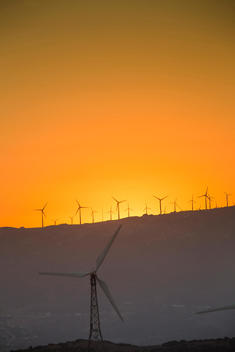 Spain, Andalusia, Tarifa, Wind farm at sunset