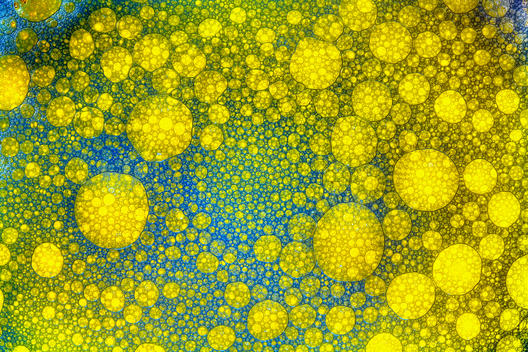 Oil Bubbles macro/close-up with food colouring to make an abstract blue and yellow image.