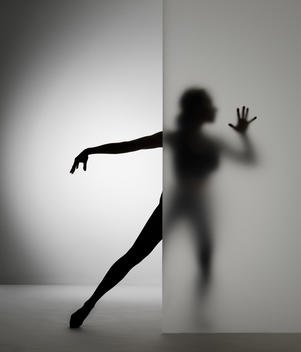 Shadow Dancer is half visible behind a frosted glass wall. She makes a nice figure - feminient. There is much ease in the image and radiates exclusivity and mental profit