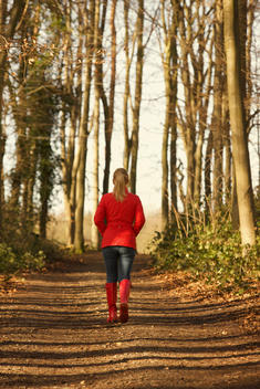 Back View of Woman Walking in Forest Path