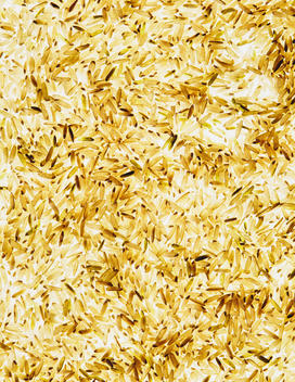 Organic long grain brown rice, white background