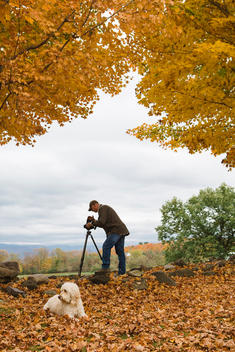 Older white man making photographs on a tripod of peak fall foliage color with a large white dog lying nearby in the leaves.