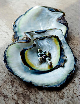 Fiji, fiji pearls, pearl shell