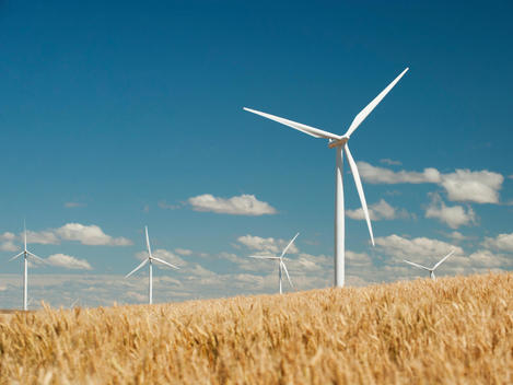 USA, Oregon, Wasco, Wheat field and wind farm in bright sunshine under blue sky
