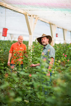 Men in greenhouse with plants