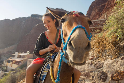 girl riding on a donkey