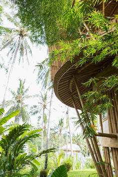 Treehouse in tropical garden
