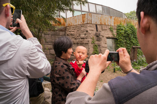 A family poses for a photograph at the Beijing Zoo in front of the giant panda exhibit.