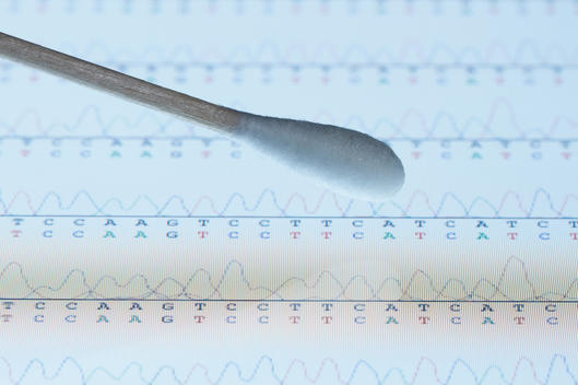 Cotton swab with saliva sample over the screen of a tablet computer that displays results of automated DNA sequencing