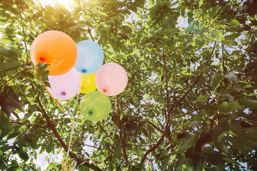 Helium ballons hanging in trees