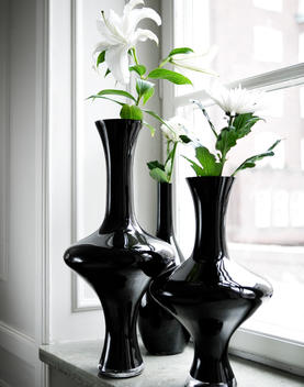 Fancy Black Vases By Window