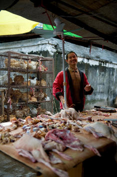 Zhuhai Market And Local Man Laughs In Amongst The Poultry