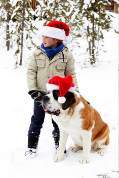 boy in the snow with saint bernard dog and christmas hat
