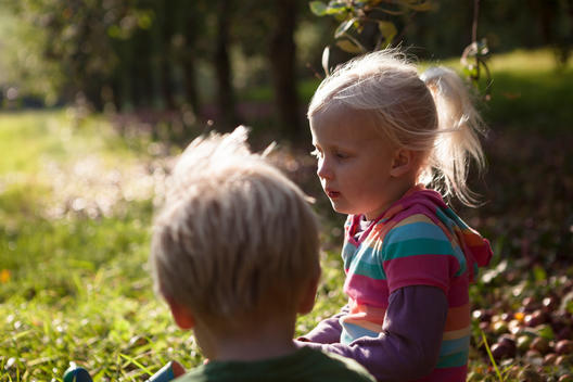 A 4 year old blonde haired boy in a green top and a six year old blonde haired girl wearing a multi-coloured striped top sit on the ground in an orchard in golden autumn sunshine.
