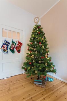 Christmas tree and socks