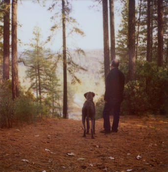 Dog and Man in the Woods