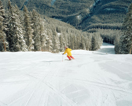 An elderly man skis down a groomed ski run.