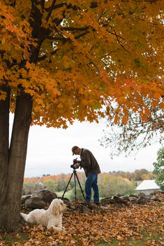 Older white man making photographs on a tripod of peak fall foliage color with a large white dog lying nearby in the leaves.
