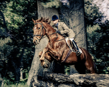 Rider on a brown horse jumping in the forest, dressed in traditional hunting jacket