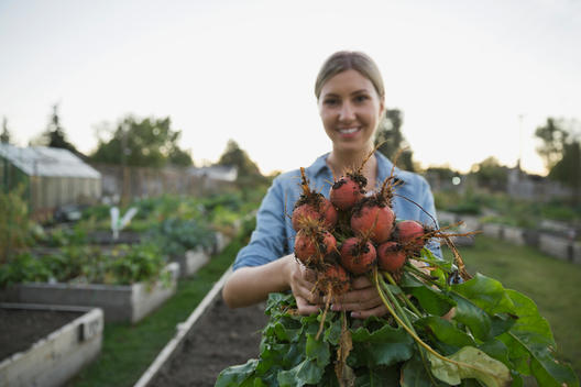 Woman holding freshly harvested beetroots in community garden