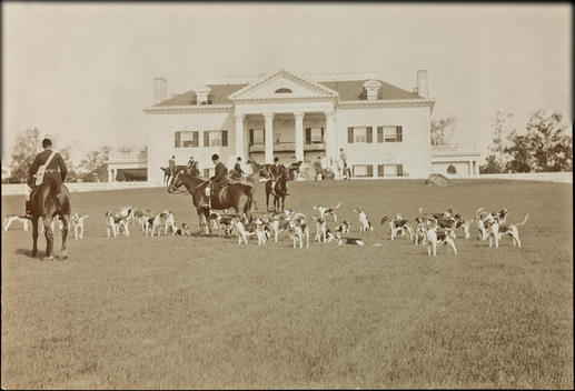 Fox Hunt With Dogs And Men On Horseback Visible In Front Of A Large Estate Or Clubhouse.